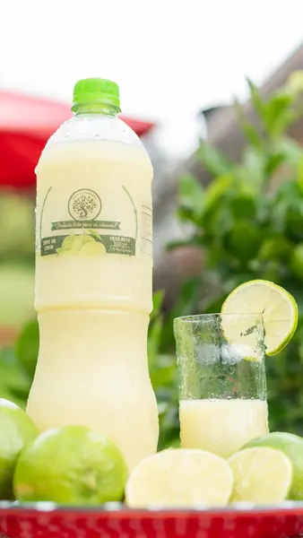 Zumo de limón Tahití orgánico 500 ml