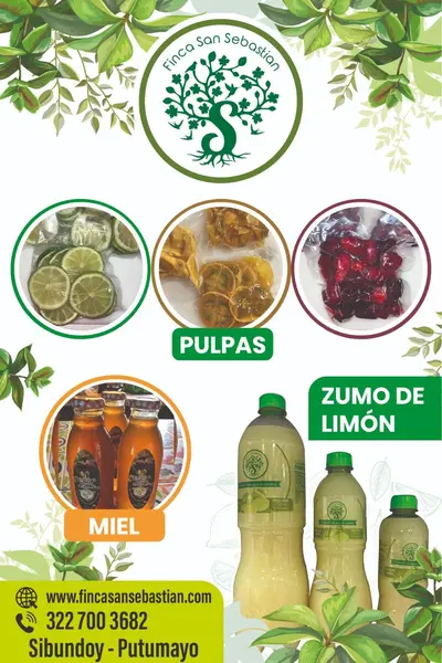 imagen ZUMOS